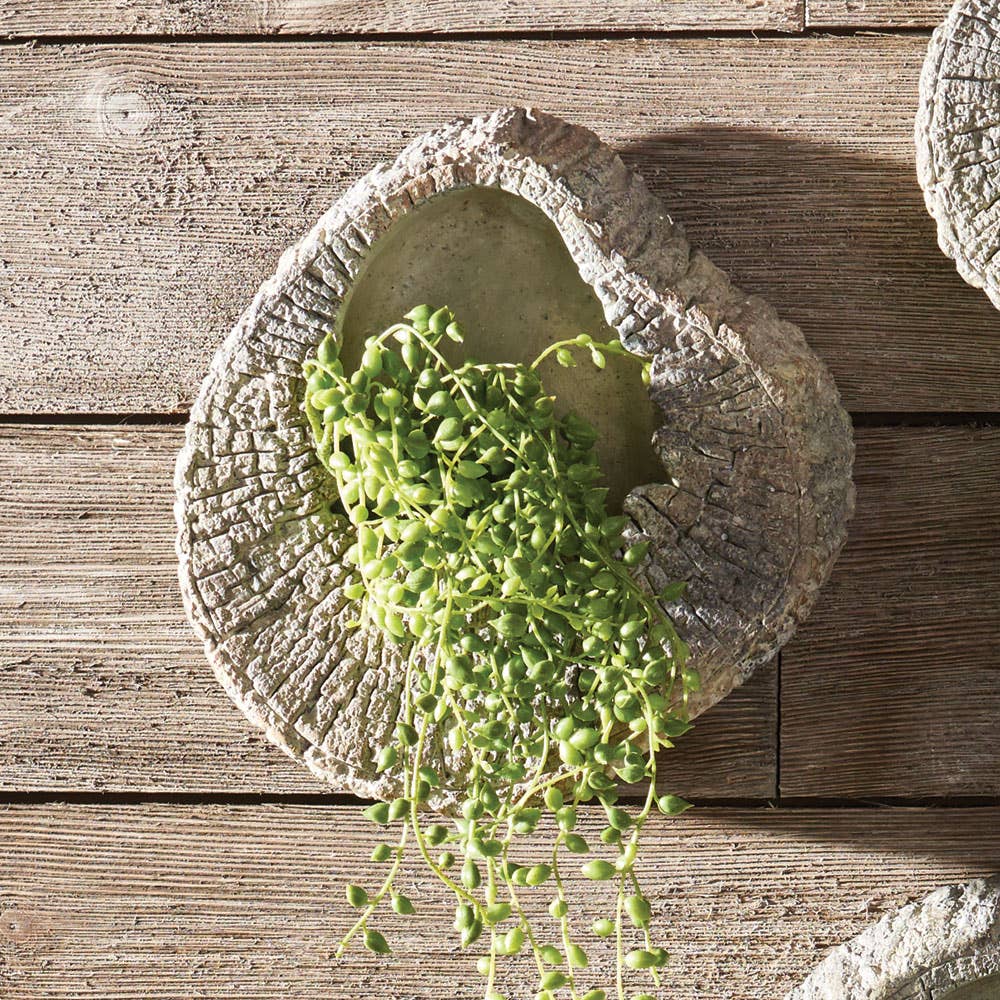 Seabrook Wall Planter 8" Napa Home & Garden