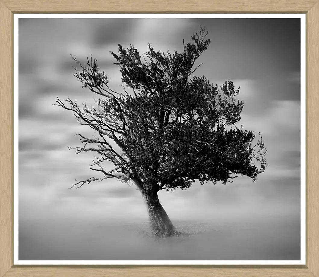 In The Open Framed Artwork Home Crush