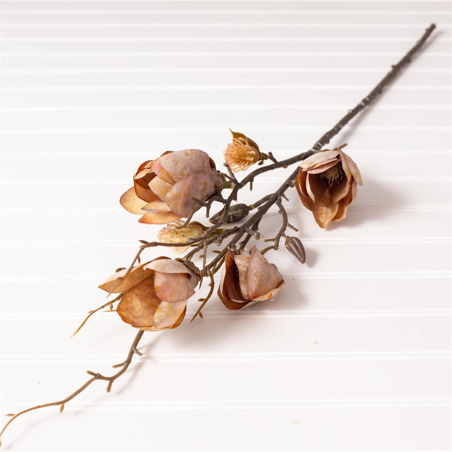 Branch - Magnolia (PK/12 AST) Audrey's Home & Gift