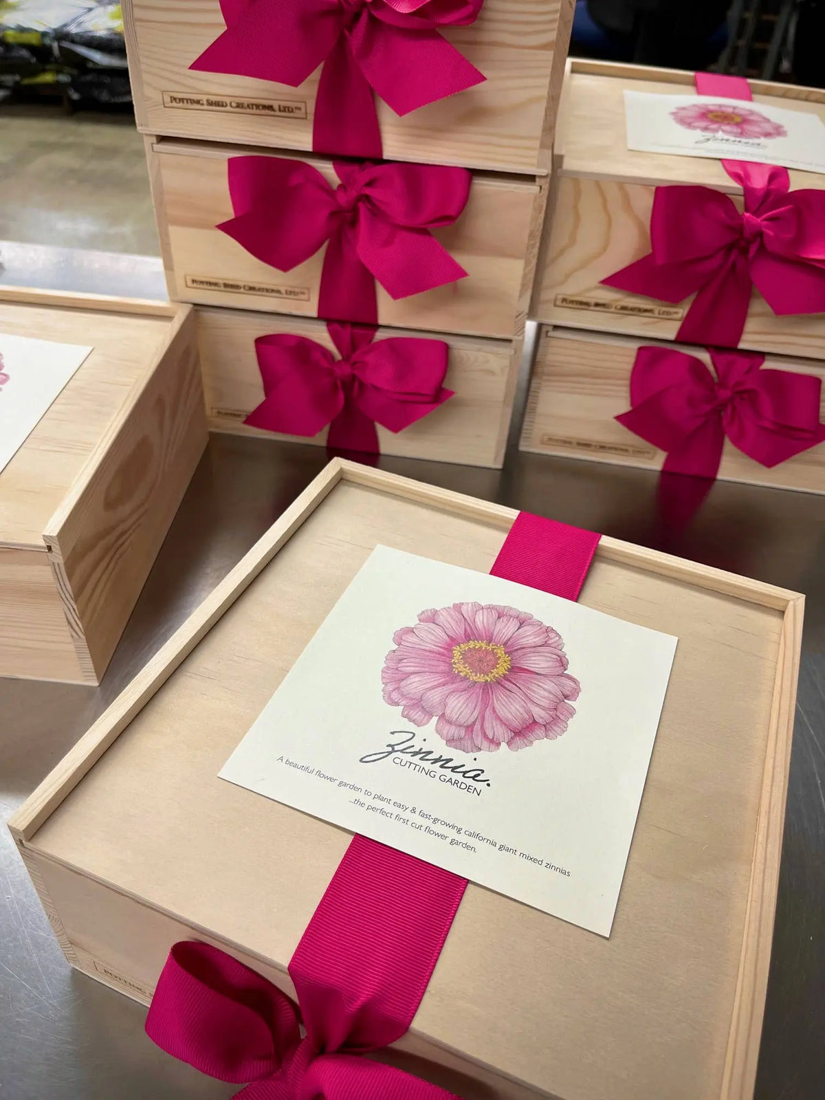 NEW Flower Cutting Garden Box | Mixed Zinnia | Thoughtful Potting Shed Creations, Ltd.