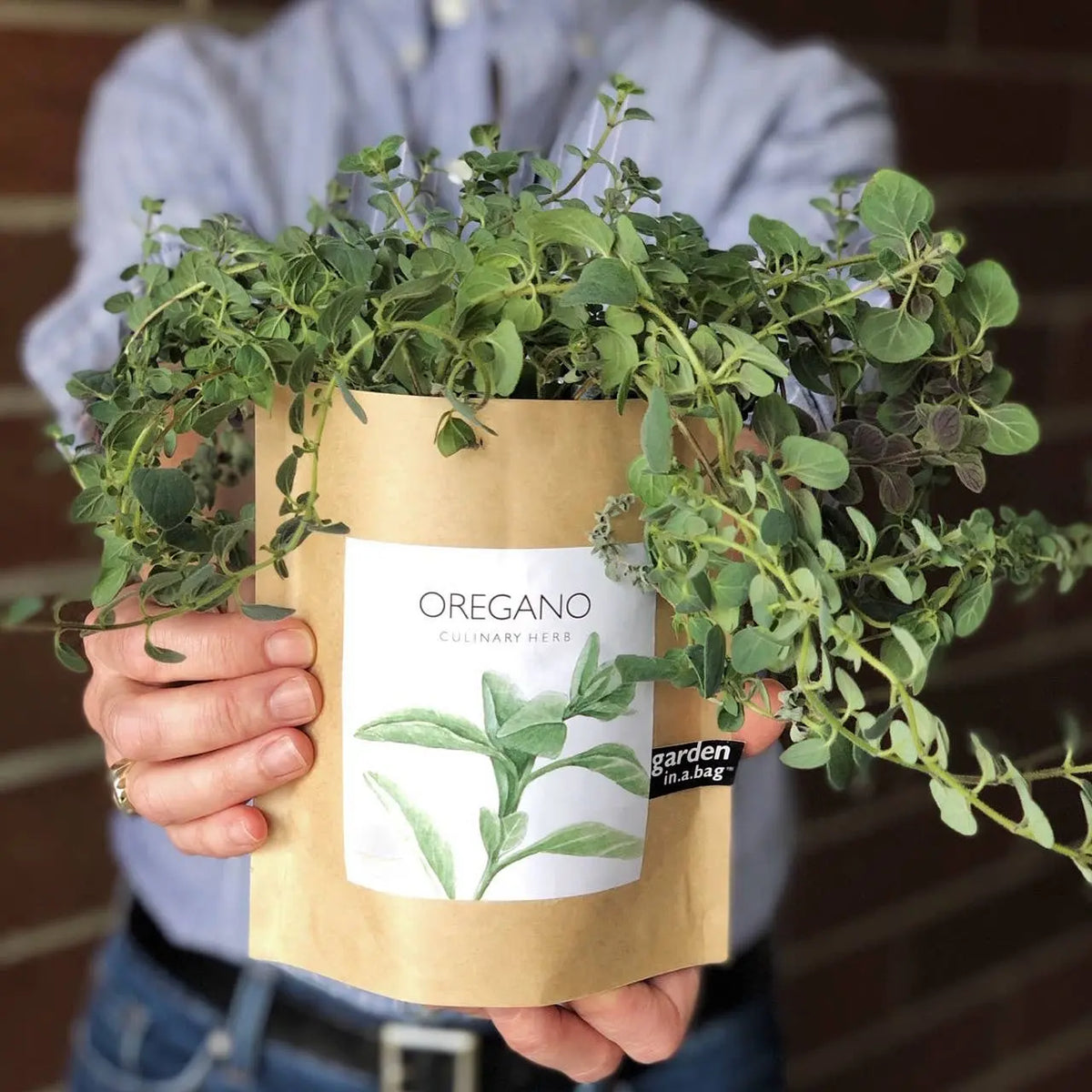 Garden in a Bag Oregano | Summer Kitchen Herb Garden Gift Potting Shed Creations, Ltd.