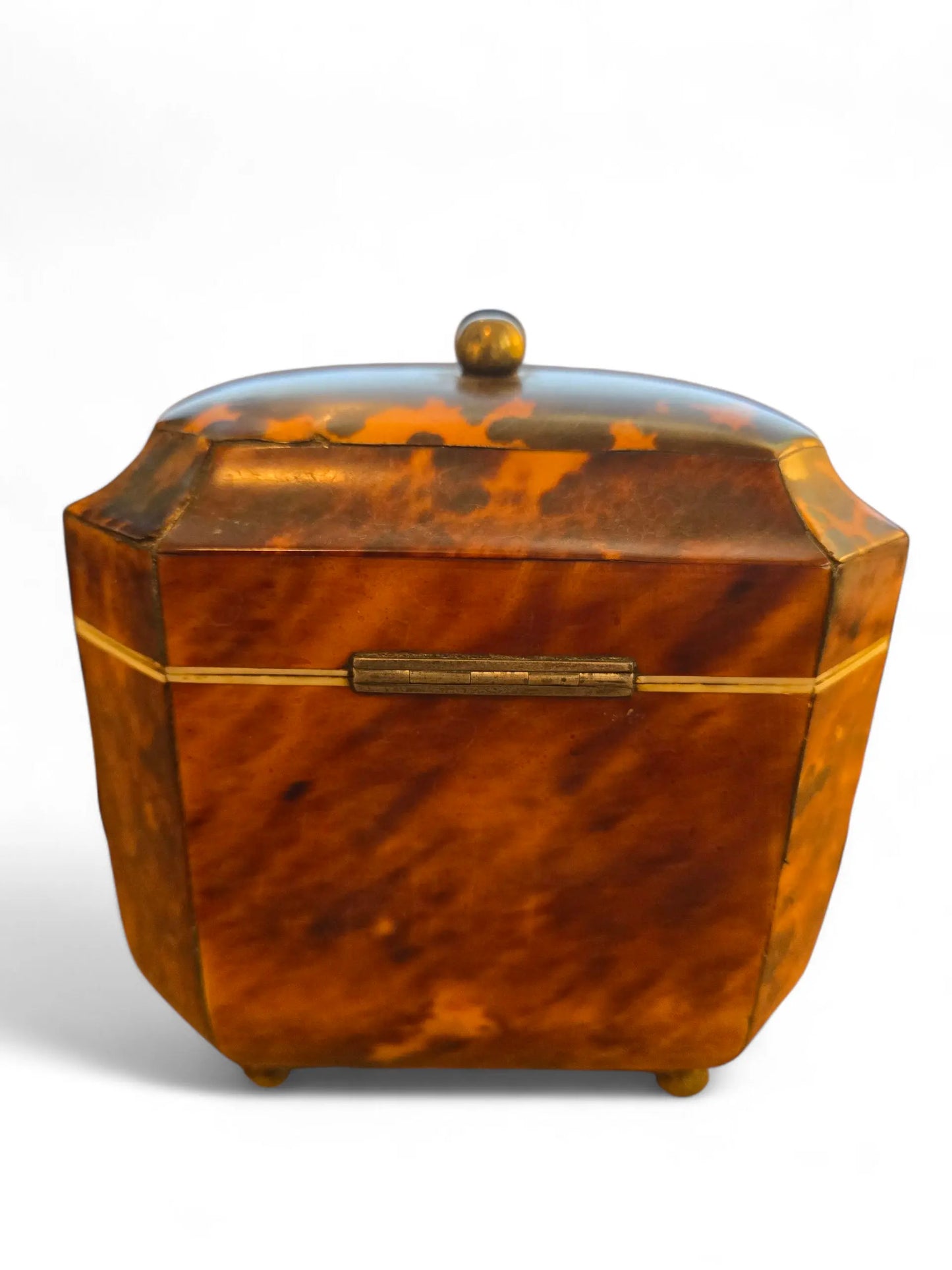 English Regency tea caddy Home Crush