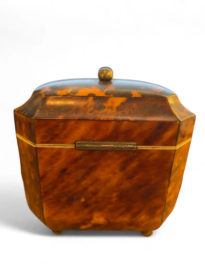 English Regency tea caddy Home Crush
