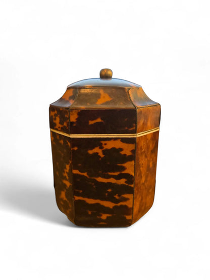 English Regency tea caddy Home Crush