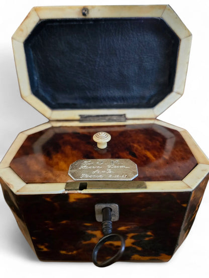 English Regency tea caddy Home Crush