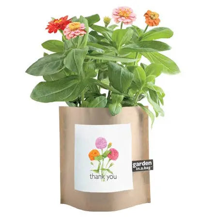 Garden in a Bag Thank You | Best Seller | Anytime Flowers Potting Shed Creations, Ltd.