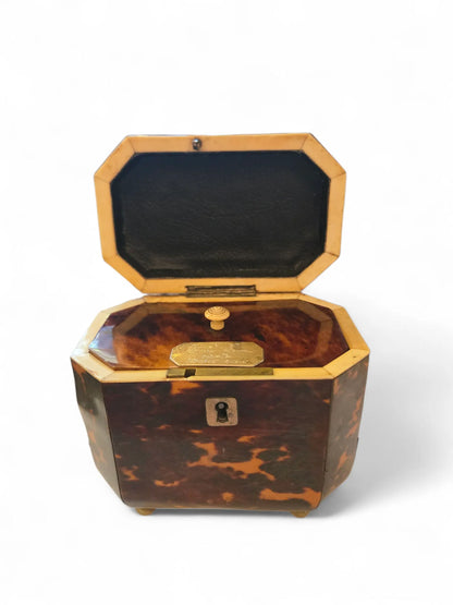 English Regency tea caddy Home Crush