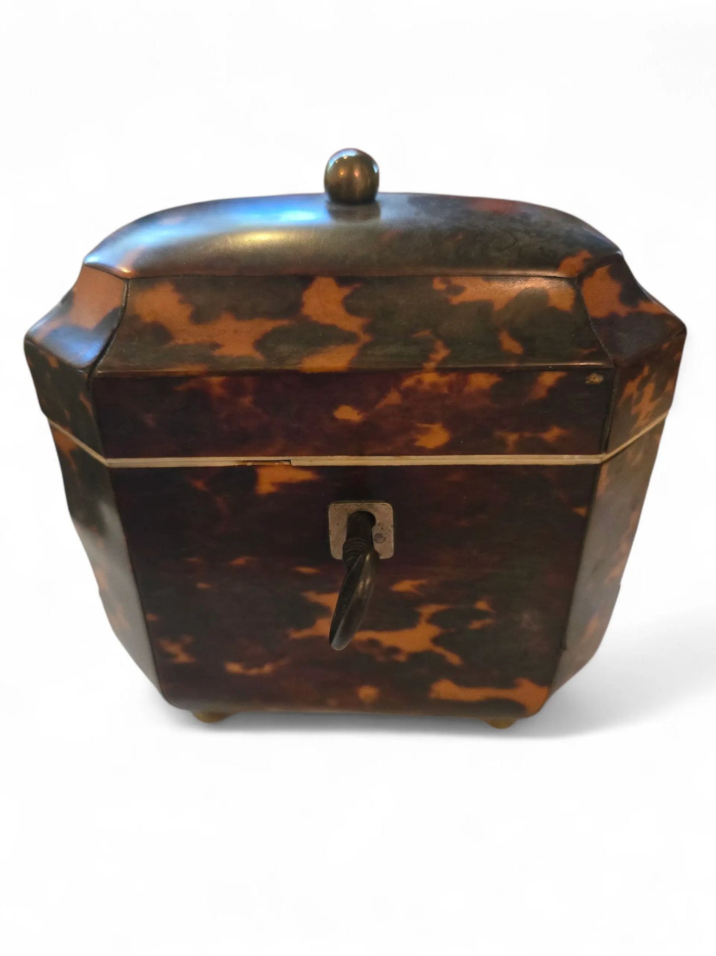 English Regency tea caddy Home Crush
