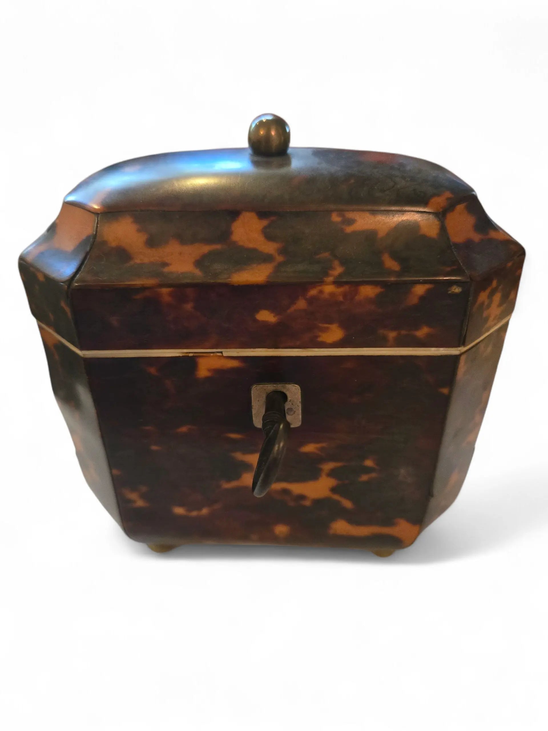 English Regency tea caddy Home Crush