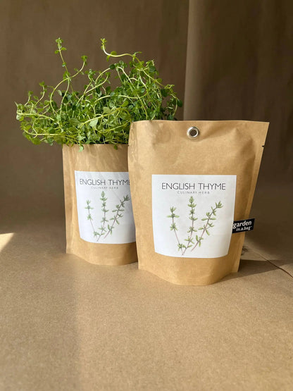 Garden in a Bag English Thyme | Summer Kitchen Garden Gift Potting Shed Creations, Ltd.