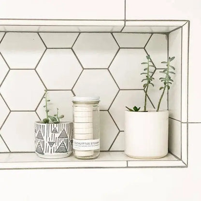 EUCALYPTUS STEAM® Cleansing Vapors for the Shower™ No Tox Life