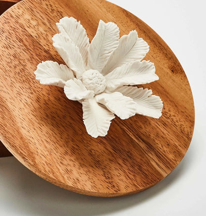 Box Diffuser Namou from France