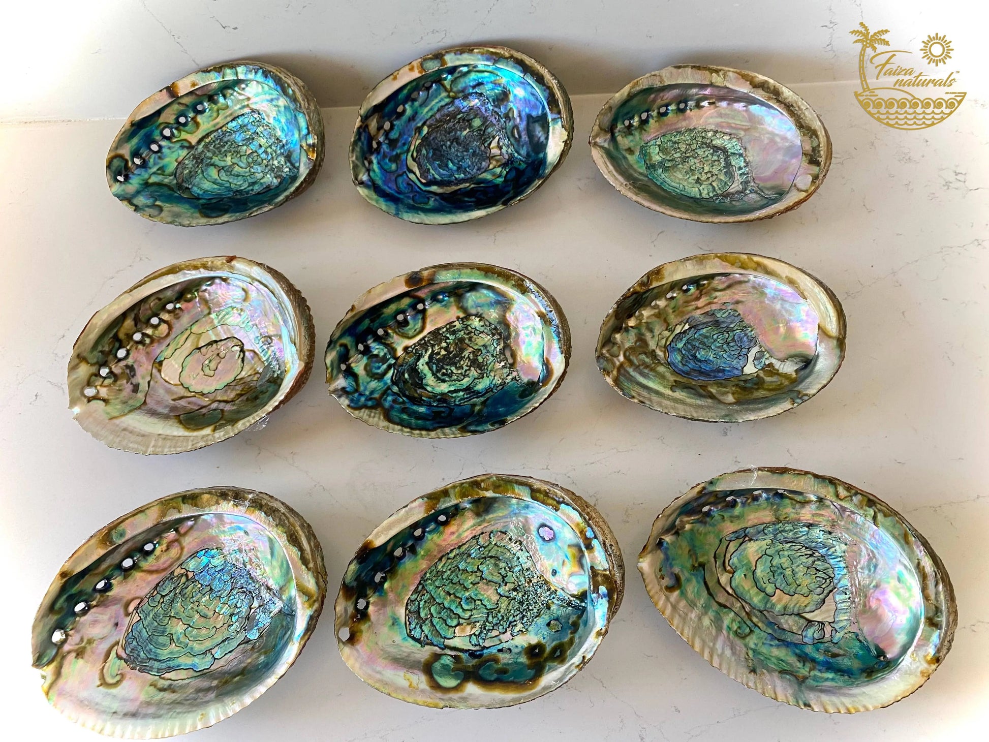 Abalone Shell Smudge Bowls (Large) Faiza Naturals