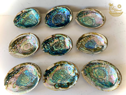 Abalone Shell Smudge Bowls (Large) Faiza Naturals