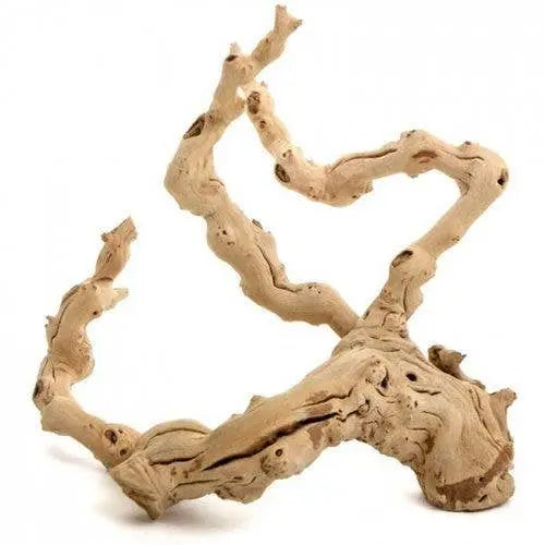 Sand Blasted Grapewood Forever Green Art