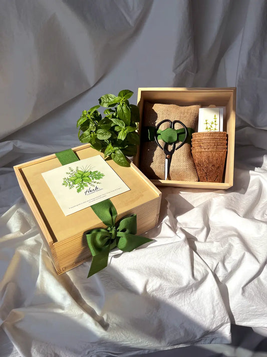 NEW Culinary Herb Garden Box | Thoughtful Summer Herb Kit Potting Shed Creations, Ltd.