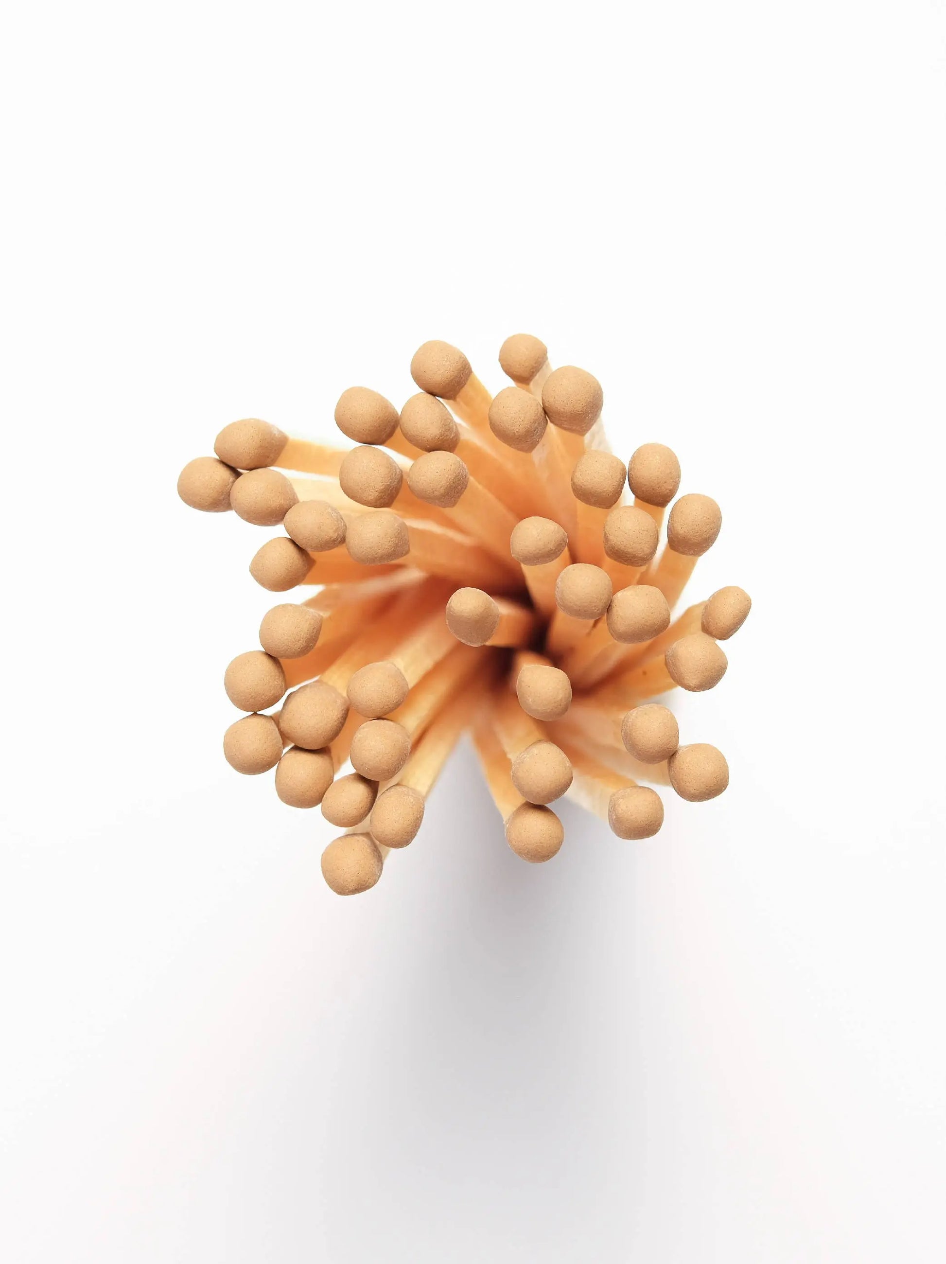 Terrain Camel Matches Made Market Co.