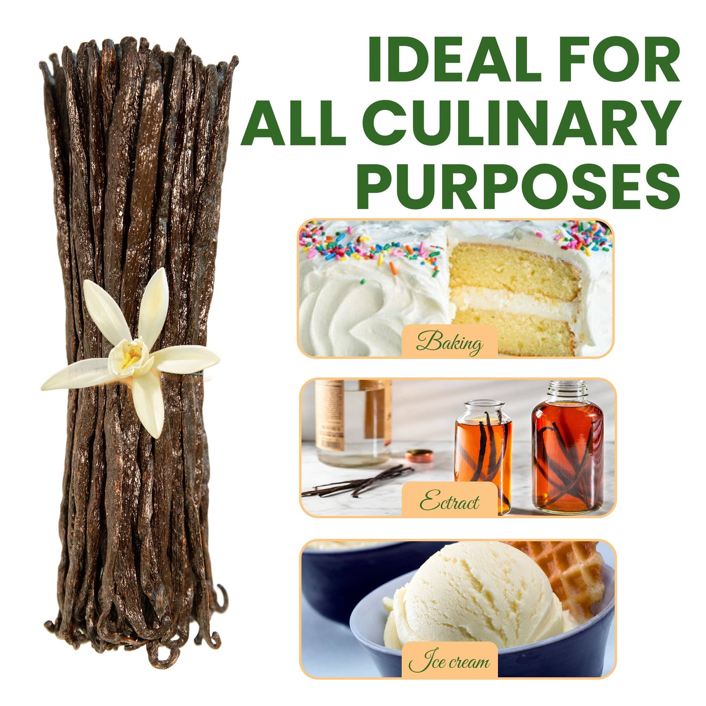 25 Organic Madagascar Vanilla Beans | Grade A Bourbon Aloka Vanilla LLC