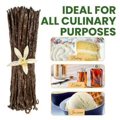 25 Organic Madagascar Vanilla Beans | Grade A Bourbon Aloka Vanilla LLC
