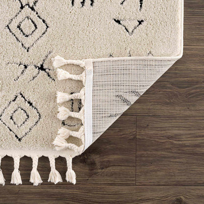 Thian Tribal Area Rug Boutique Rugs