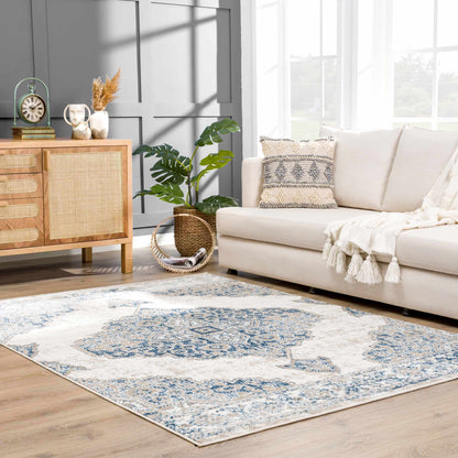 Amir Blue Medallion Area Rug Boutique Rugs