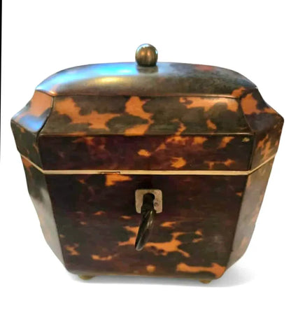 English Regency tea caddy Home Crush