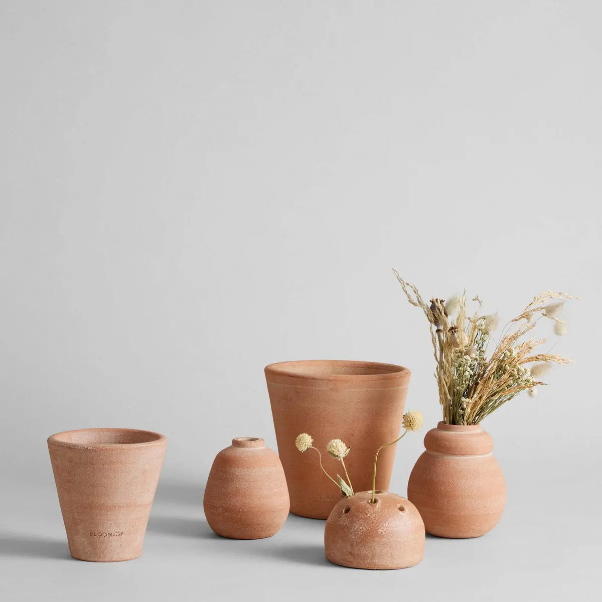 Terra Cotta Bud Vase, Whitewash Bloomist