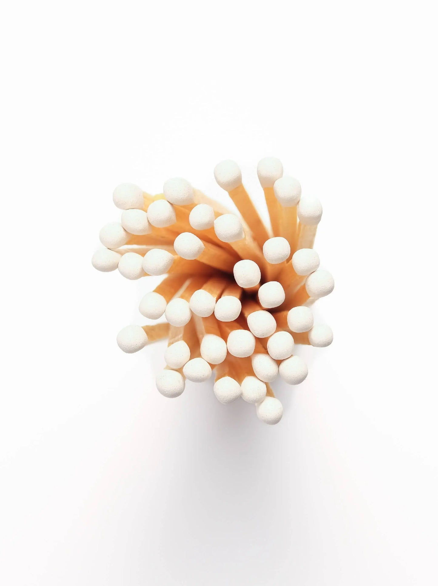 Terrain White Matches Made Market Co.