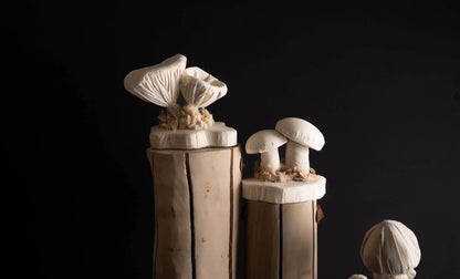 Porcini Mushroom Scultpure BIDKhome