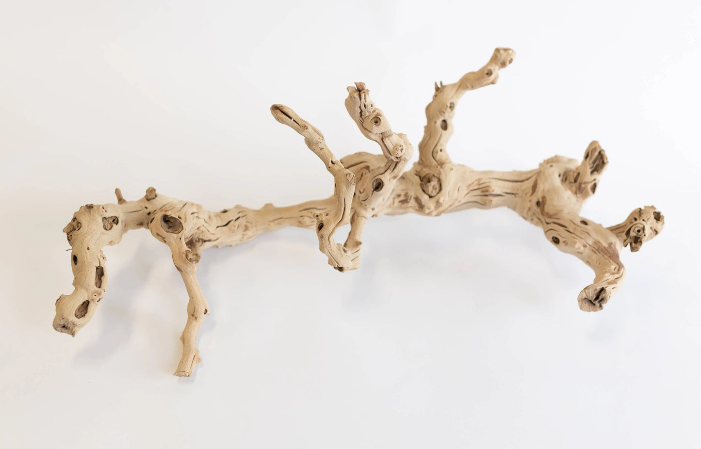 Sand Blasted Grapewood Forever Green Art