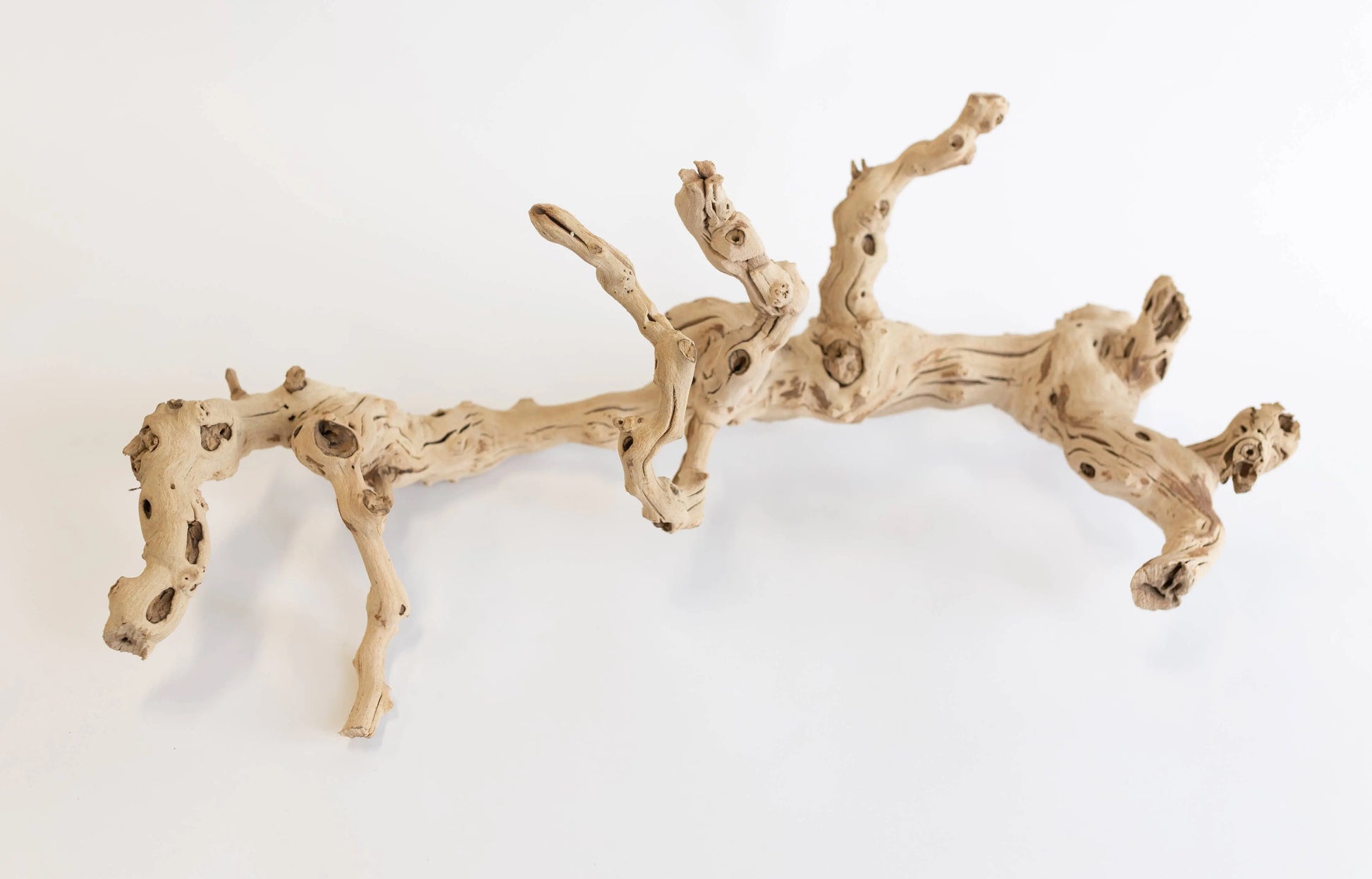 Sand Blasted Grapewood Forever Green Art