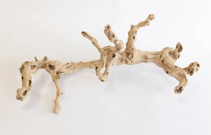 Sand Blasted Grapewood Forever Green Art