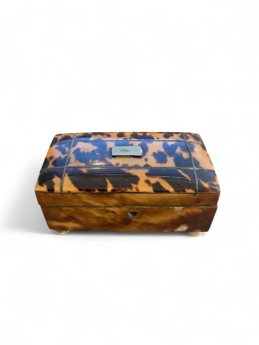 19th C. Miniature tortoise antique box Home Crush