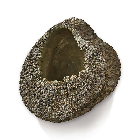 Seabrook Wall Planter 8" Napa Home & Garden