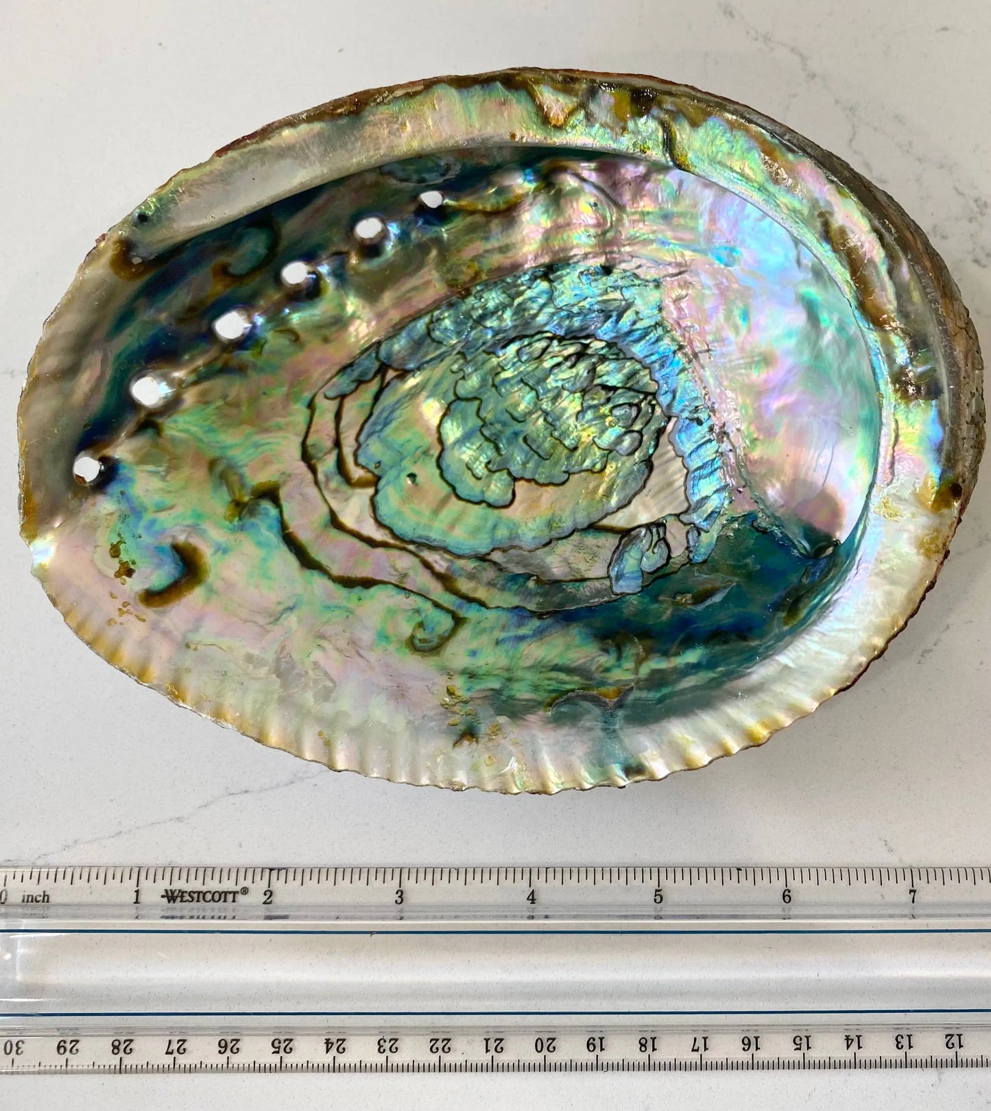 Abalone Shell Smudge Bowls (Large) Faiza Naturals