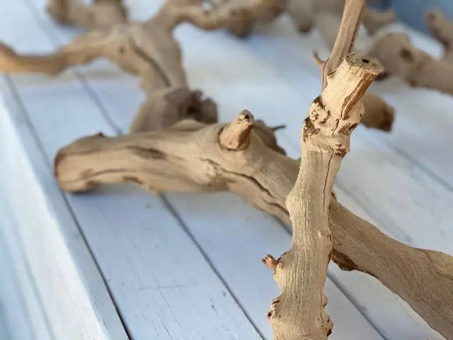 Sand Blasted Grapewood Forever Green Art