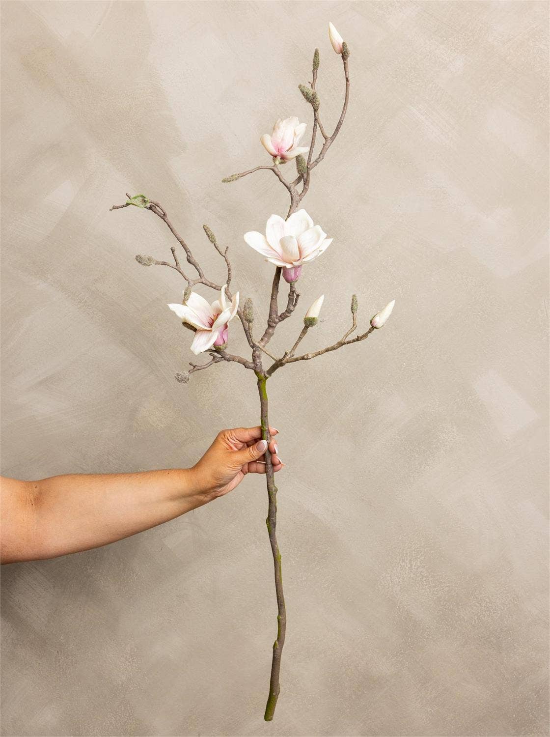Spray - Real Touch Magnolia (Pk/06) Audrey's Home & Gift