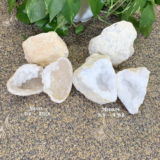 White Quartz Druzy Geode - Whole - (GEO-WHOLE) Rock Paradise