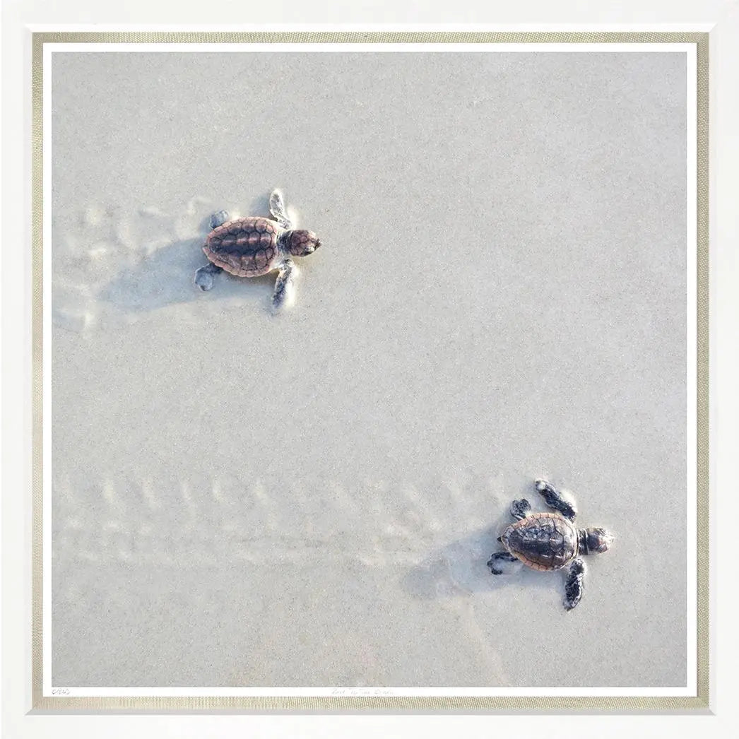 Race To The Ocean Artwork Home Crush