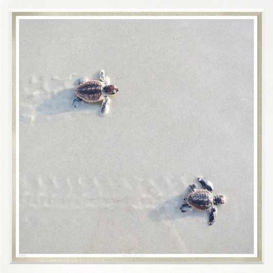 Race To The Ocean Artwork Home Crush