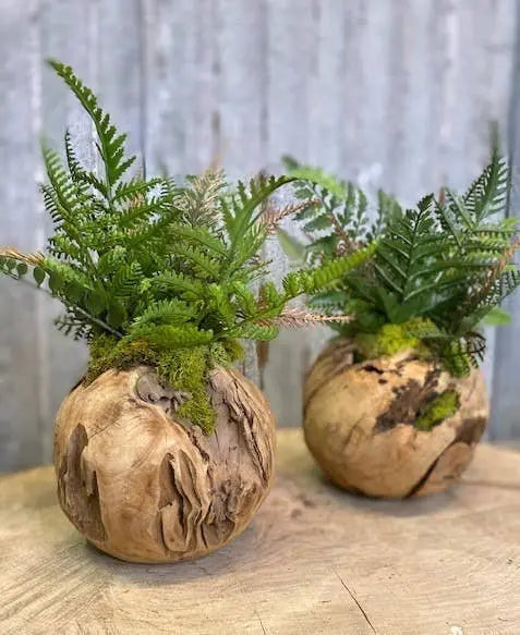 Woodland Fern Forever Green Art