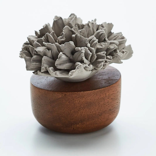 Box Diffuser Carnation from France Home Crush