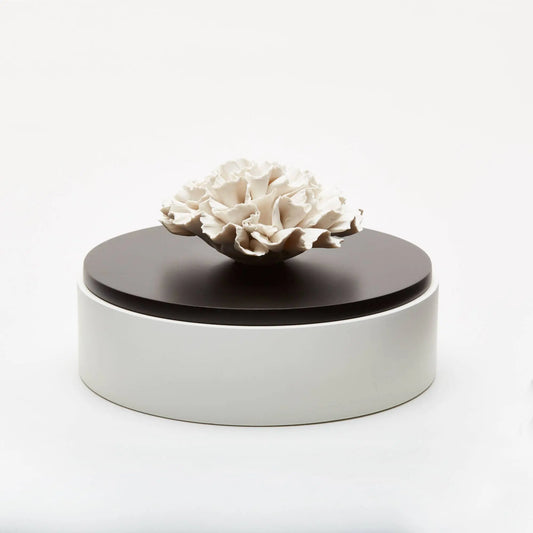 Box Diffuser Iwa from France Home Crush