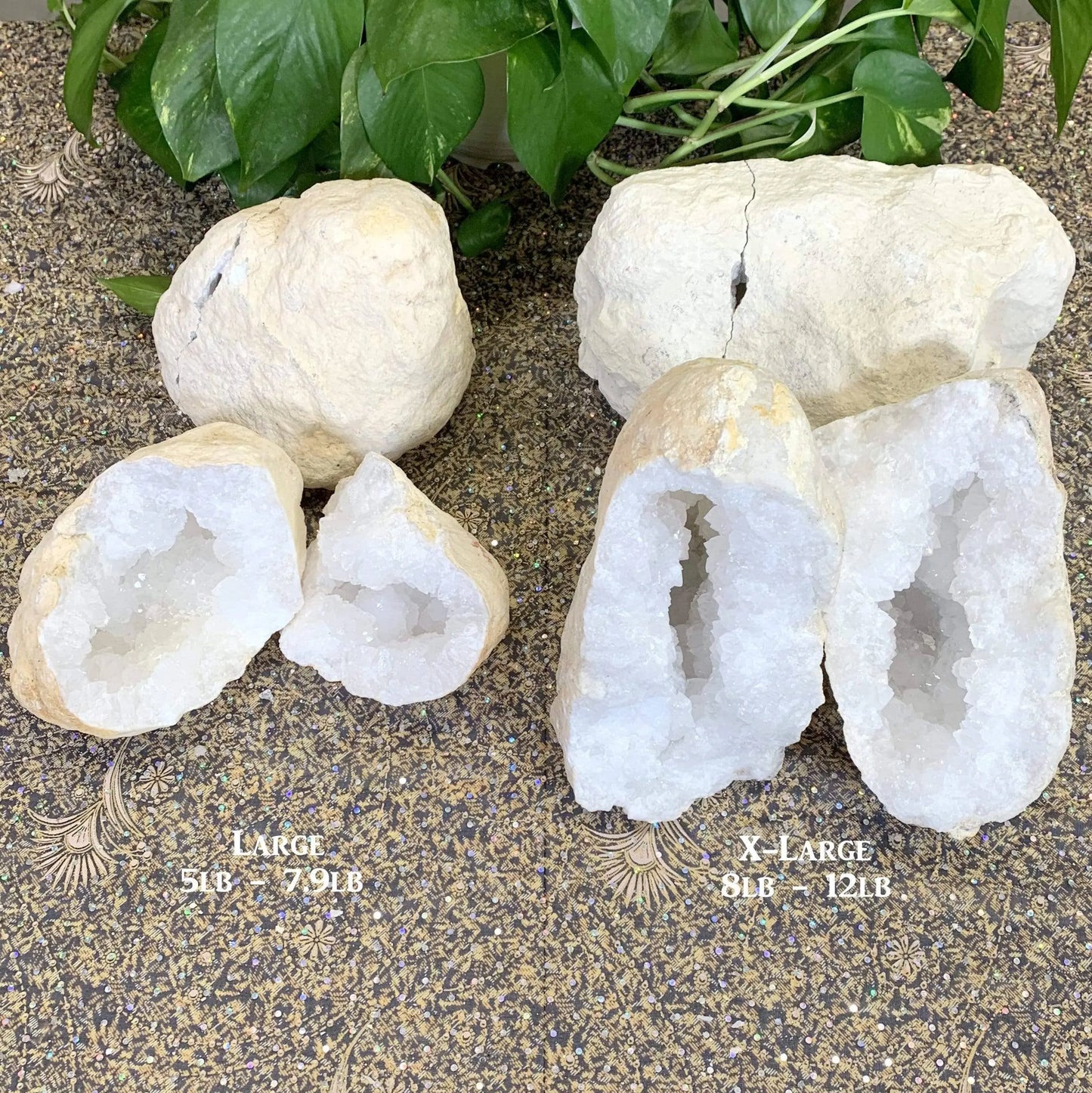 White Quartz Druzy Geode  Med Rock Paradise