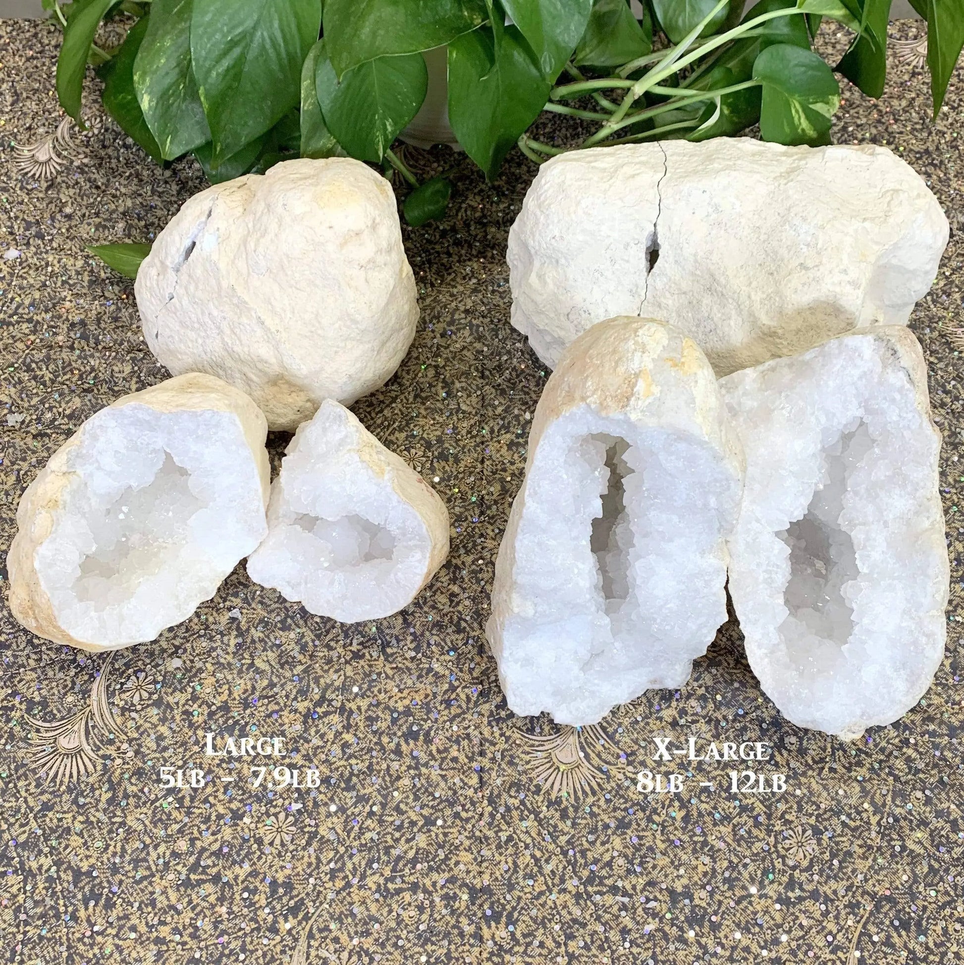 White Quartz Druzy Geode  Med Rock Paradise